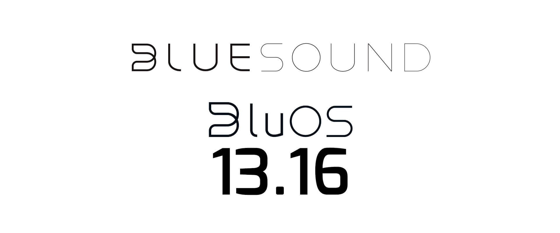 bluesound bluos316