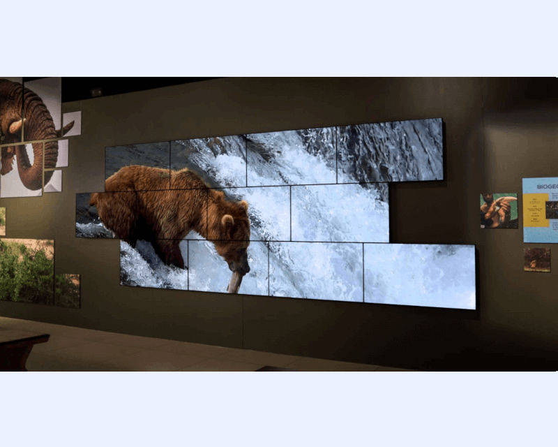 Slideshow 9